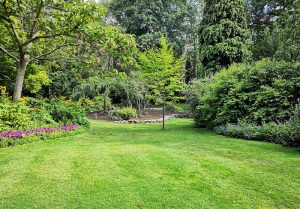 Optimiser l'expérience du jardin à Wallers